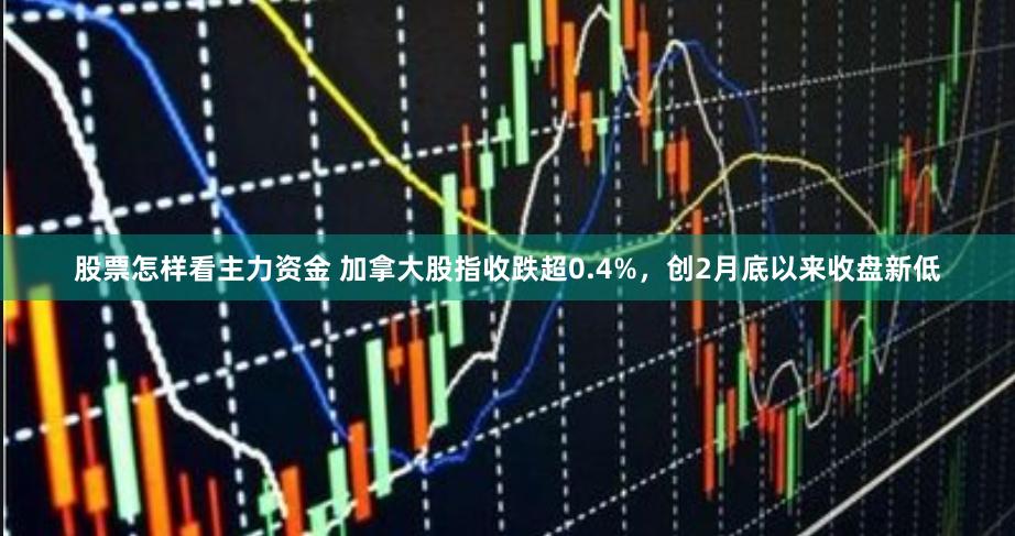 股票怎样看主力资金 加拿大股指收跌超0.4%，创2月底以来收盘新低