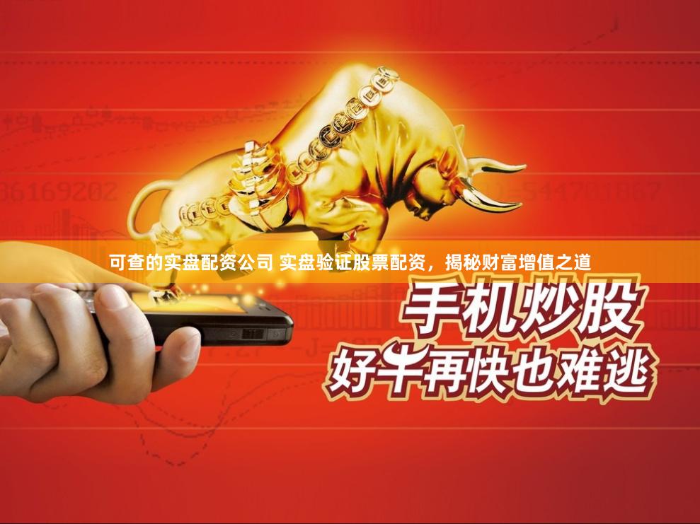 可查的实盘配资公司 实盘验证股票配资，揭秘财富增值之道