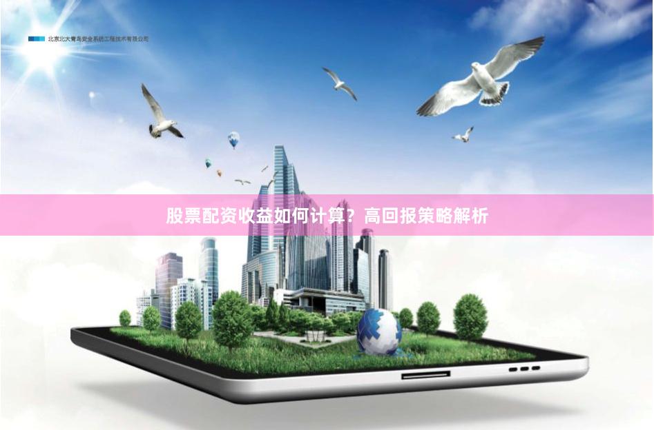 股票配资收益如何计算？高回报策略解析