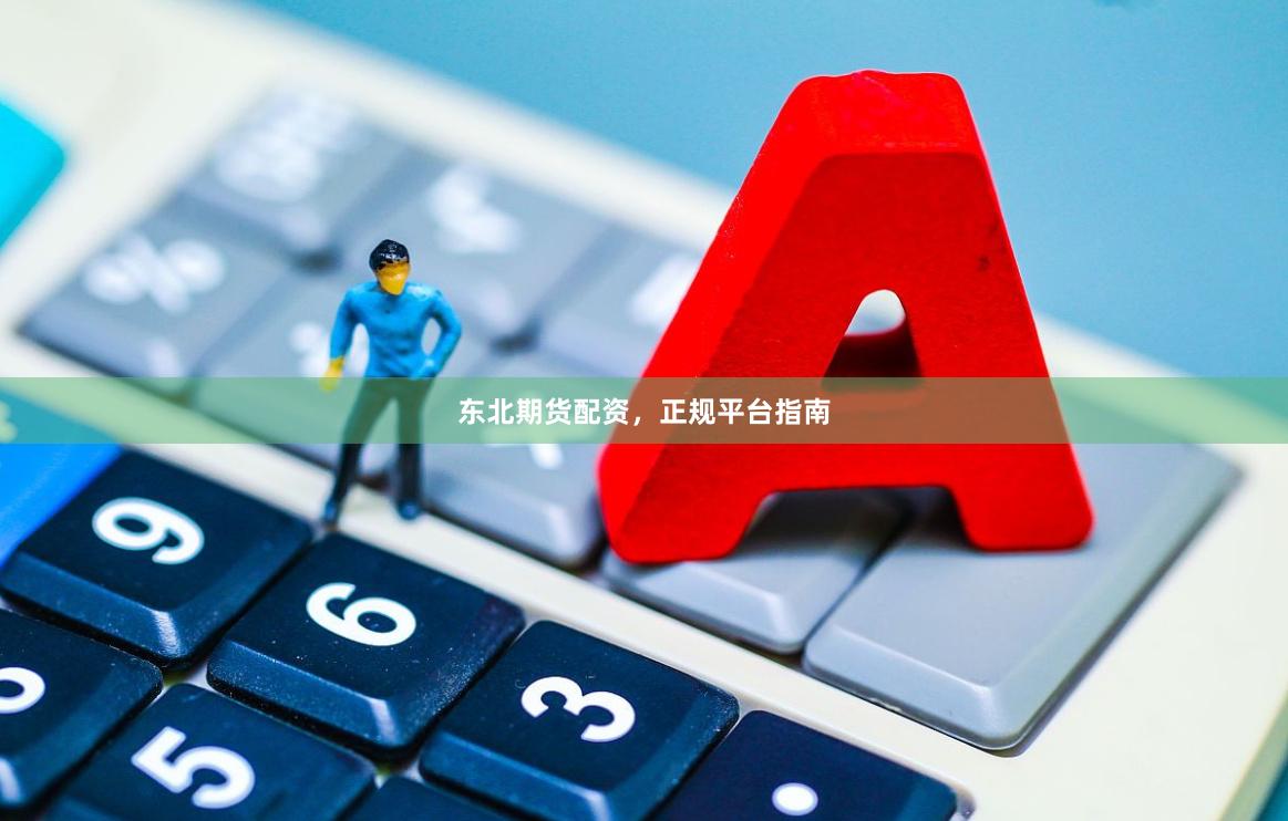 东北期货配资，正规平台指南